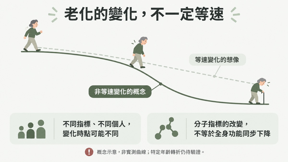 斷崖式衰老的概念示意 老化並非等速下降,中年那一段可能出現明顯的轉折