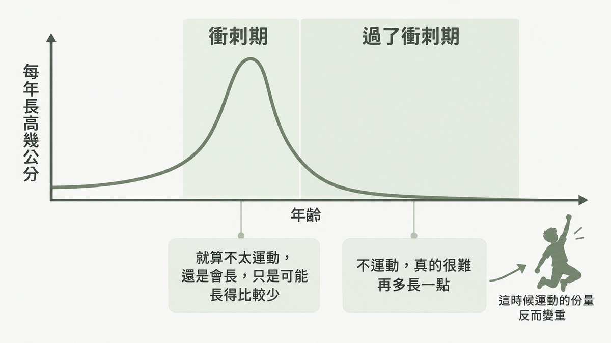 長高促進的生長速度曲線 衝刺期與過了衝刺期兩階段,運動份量的差別