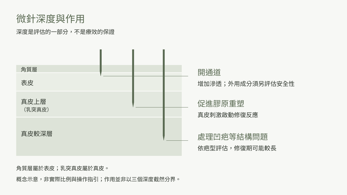 微針進針深度與作用對照示意圖:淺層開通道、深層長膠原