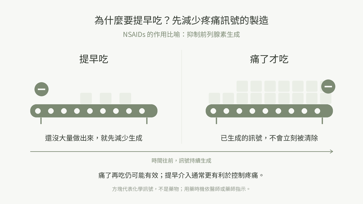 生理痛止痛藥為什麼要提早吃:先減少疼痛訊號的製造