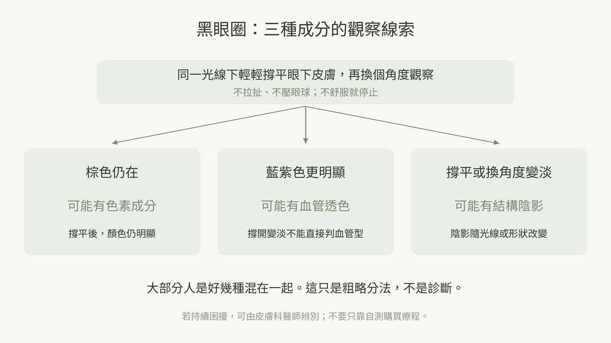 黑眼圈三型的自我觀察線索